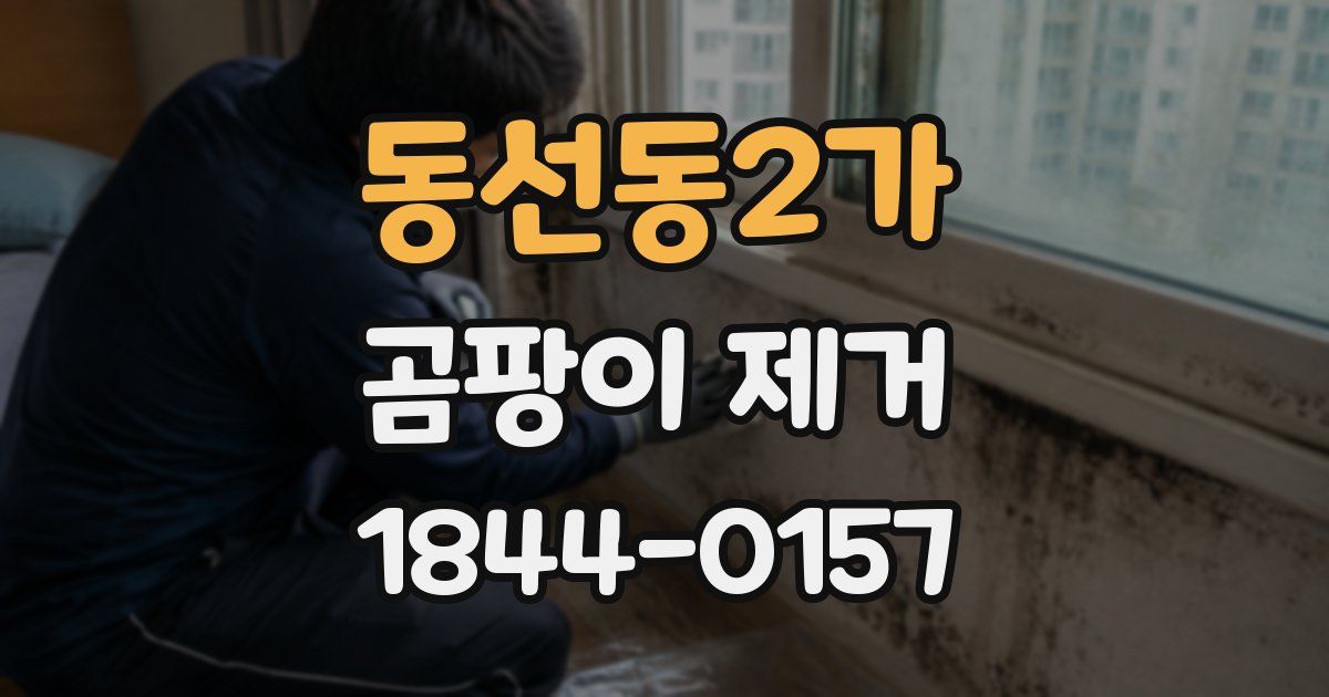 동선동2가 곰팡이 제거