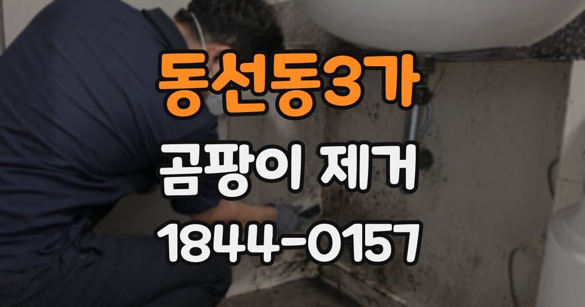 동선동3가 곰팡이 제거