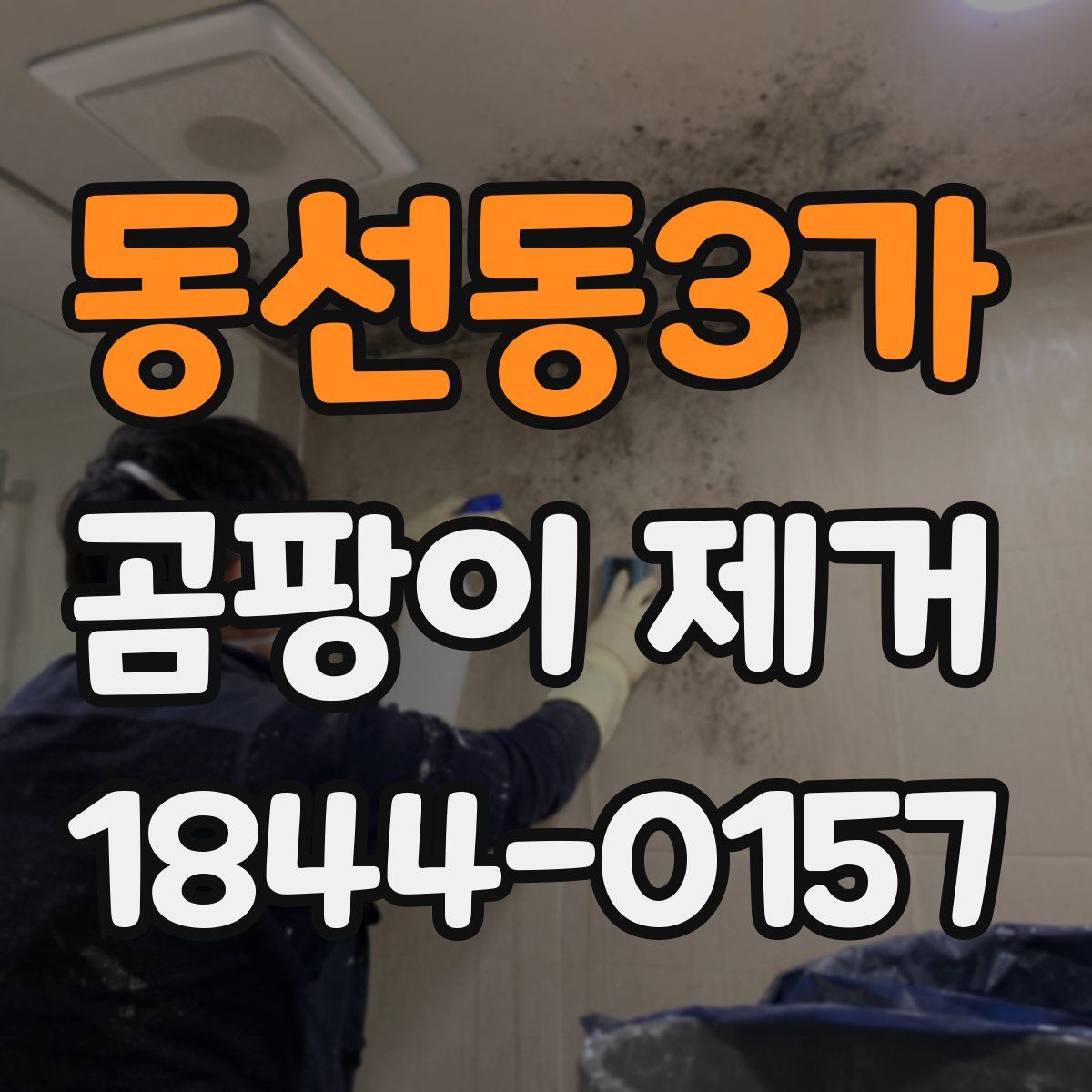 동선동3가 곰팡이 제거