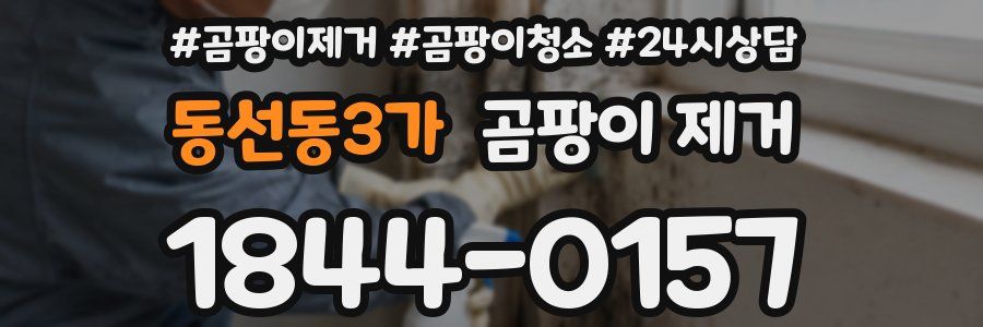 동선동3가 곰팡이 제거