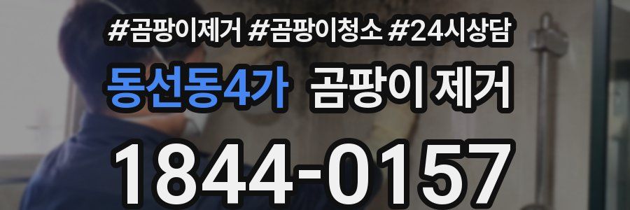 동선동4가 곰팡이 제거