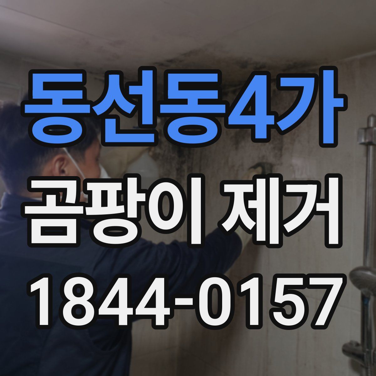동선동4가 곰팡이 제거