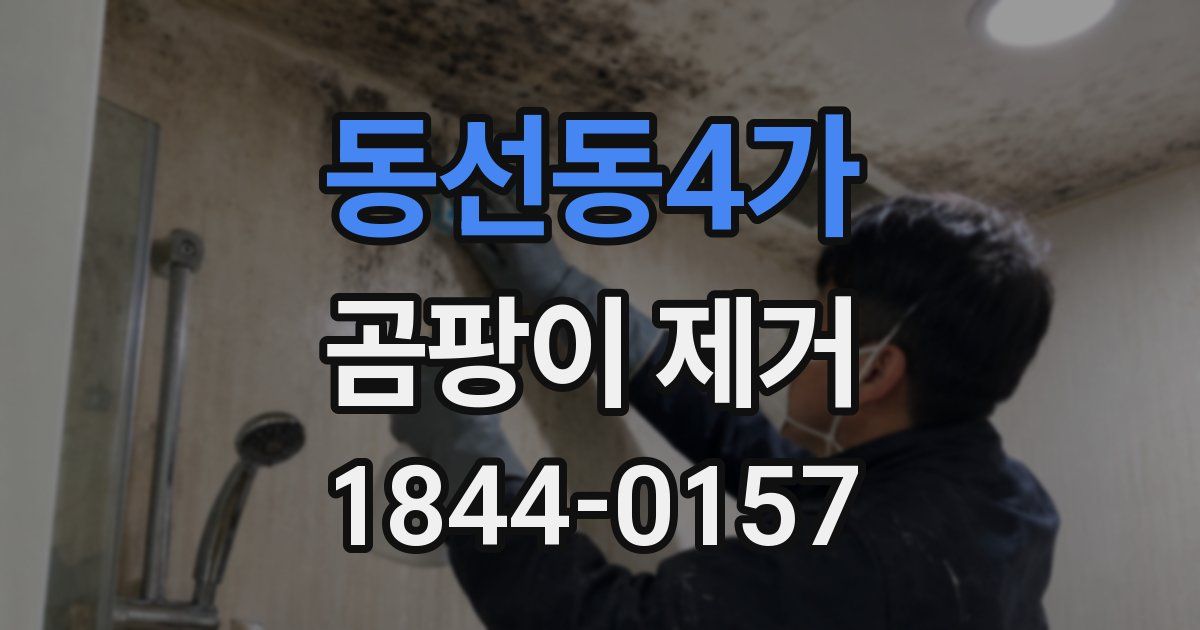 동선동4가 곰팡이 제거
