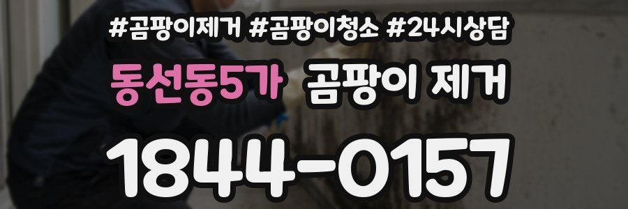 동선동5가 곰팡이 제거