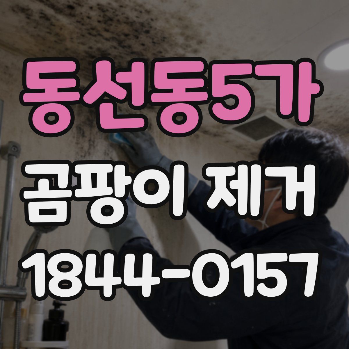 동선동5가 곰팡이 제거