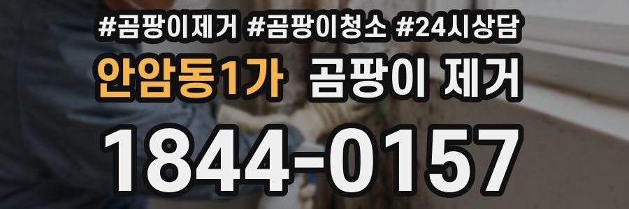 안암동1가 곰팡이 제거