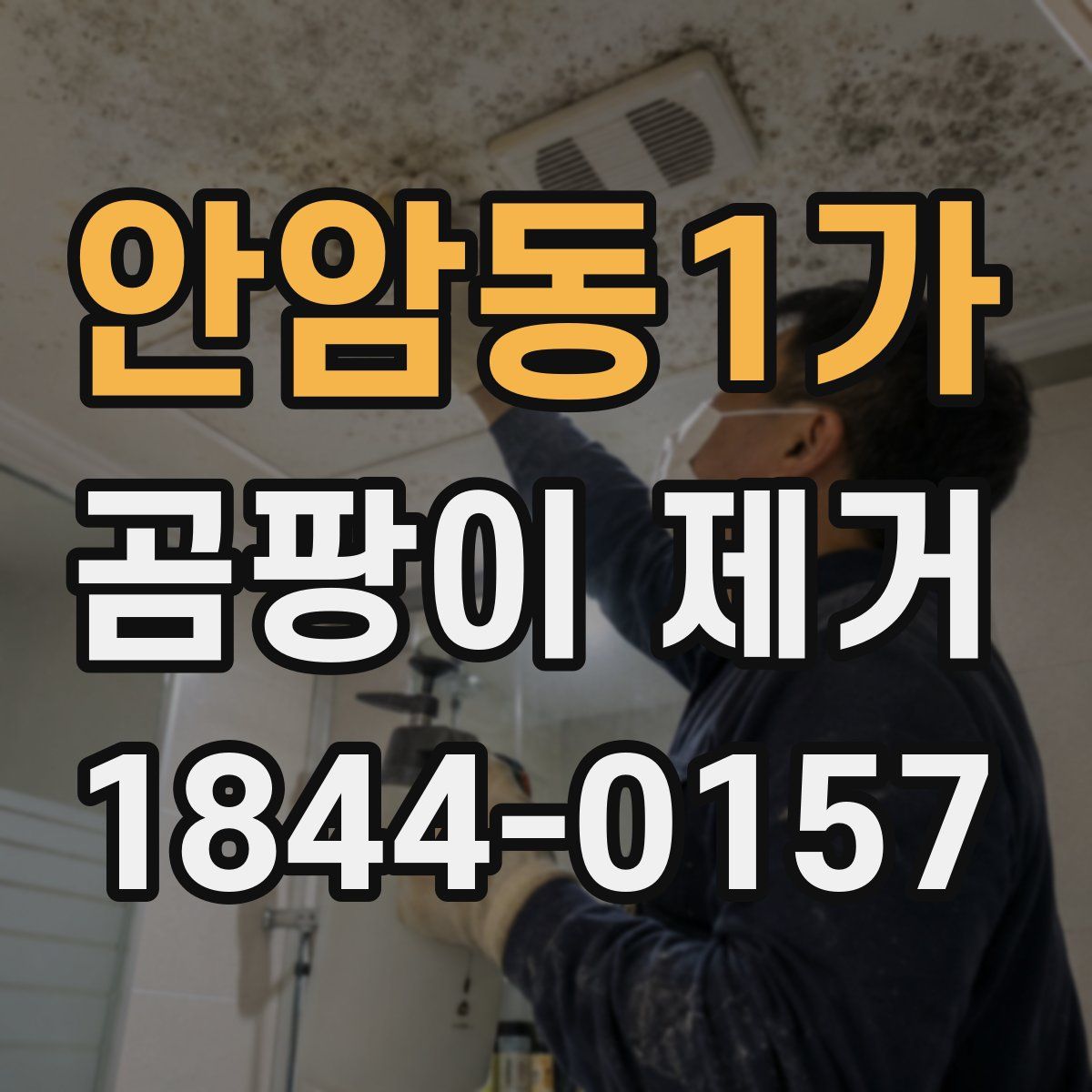 안암동1가 곰팡이 제거