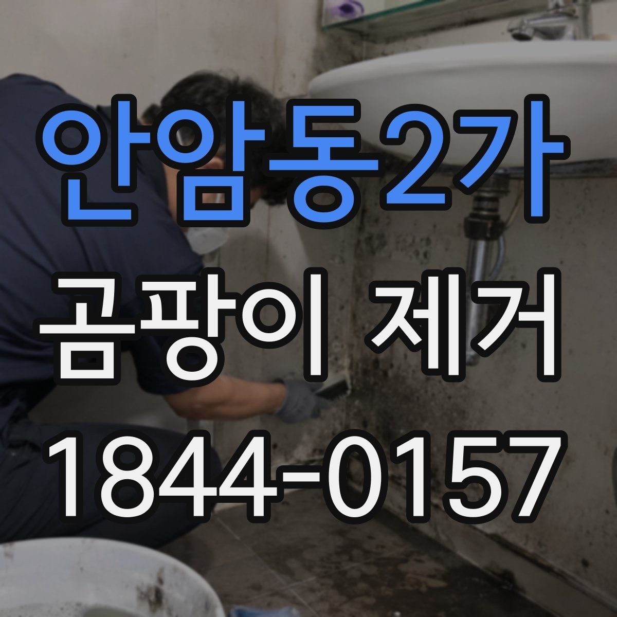 안암동2가 곰팡이 제거 흔적이 남기지 않으려면 먼저 볼 곳