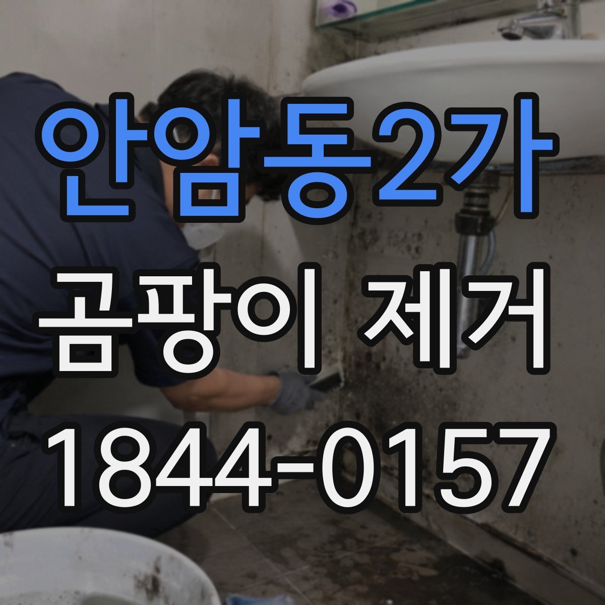 안암동2가 곰팡이 제거