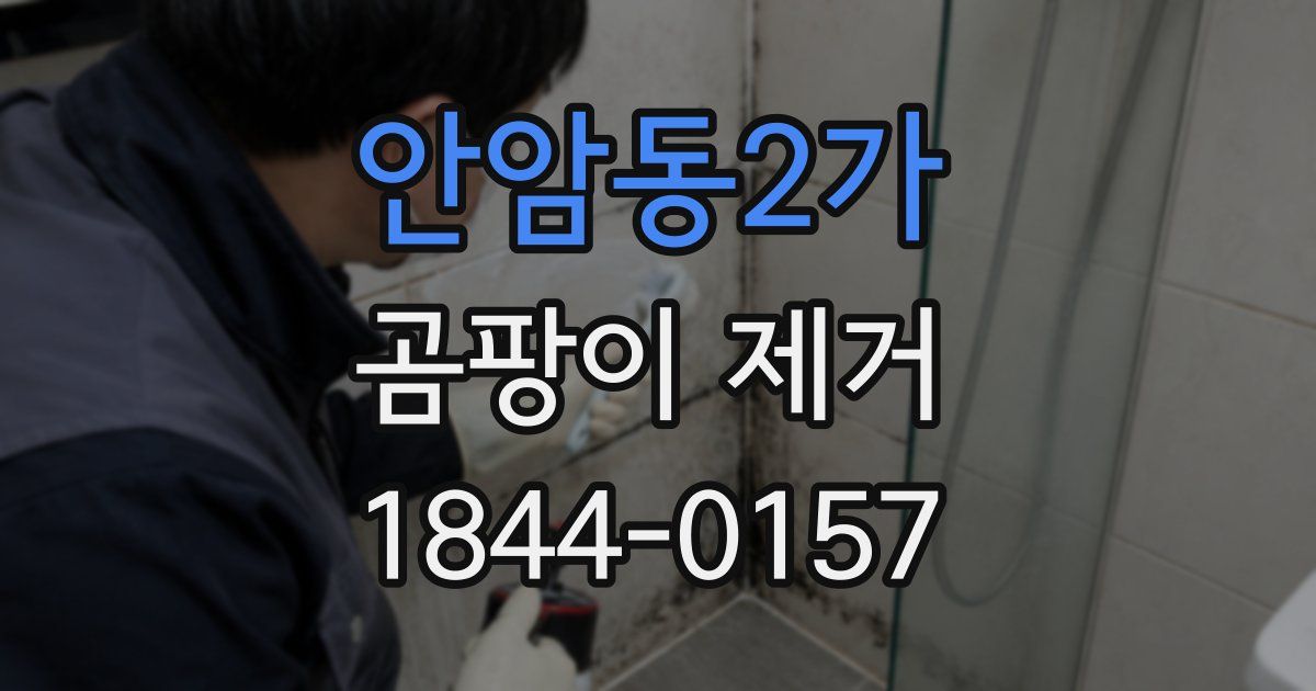 안암동2가 곰팡이 제거