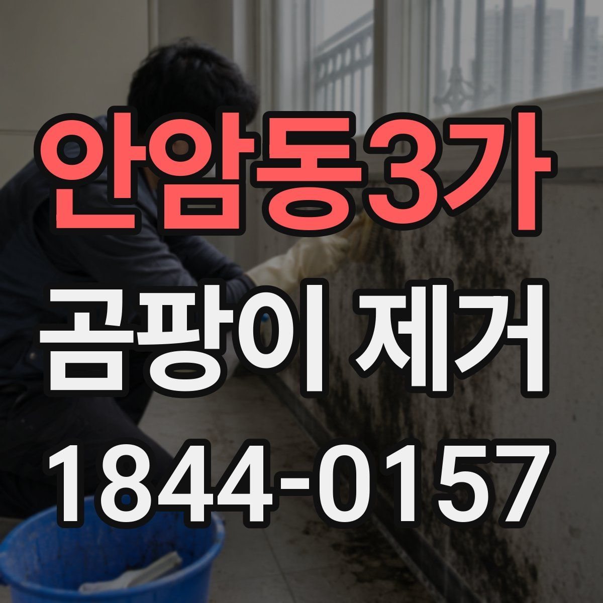 안암동3가 곰팡이 제거