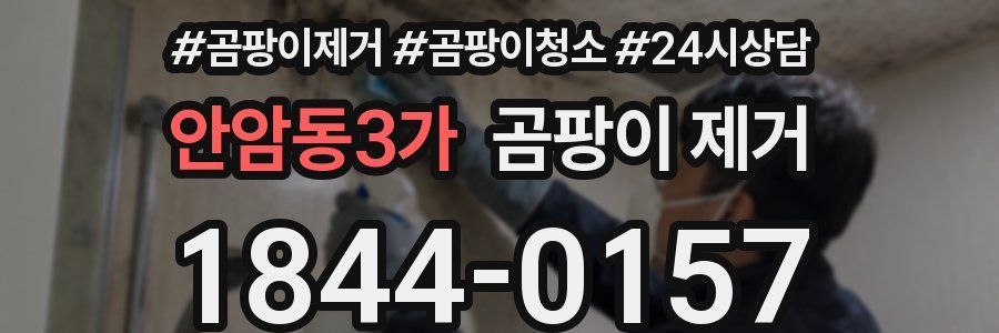 안암동3가 곰팡이 제거