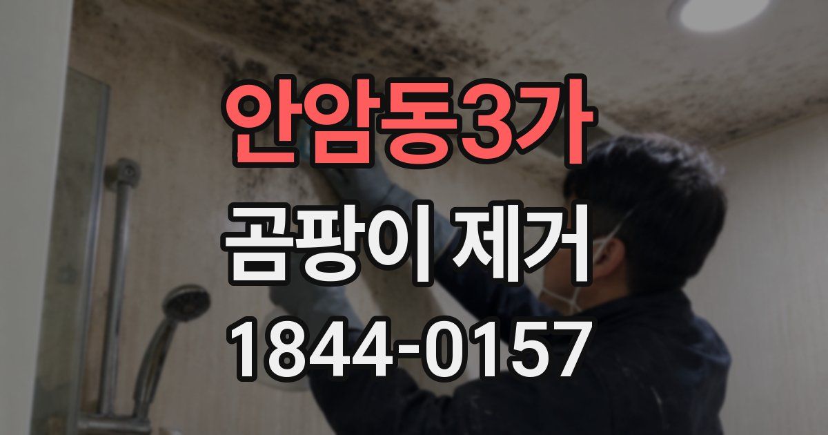 안암동3가 곰팡이 제거