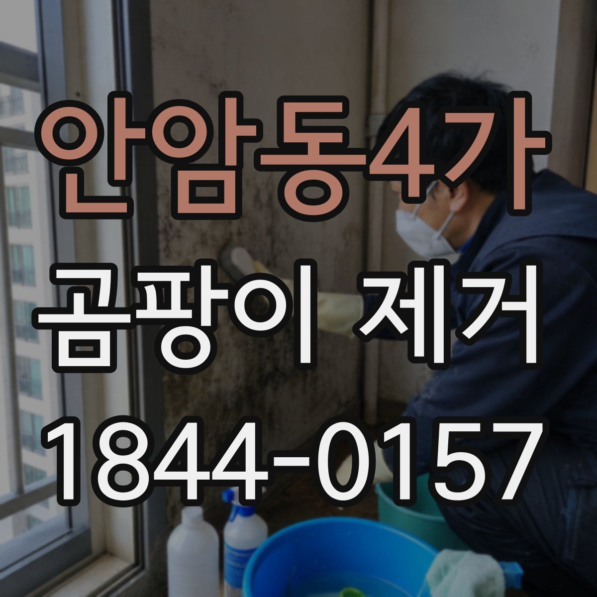 안암동4가 곰팡이 제거