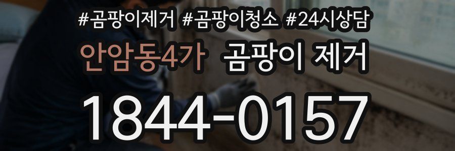 안암동4가 곰팡이 제거