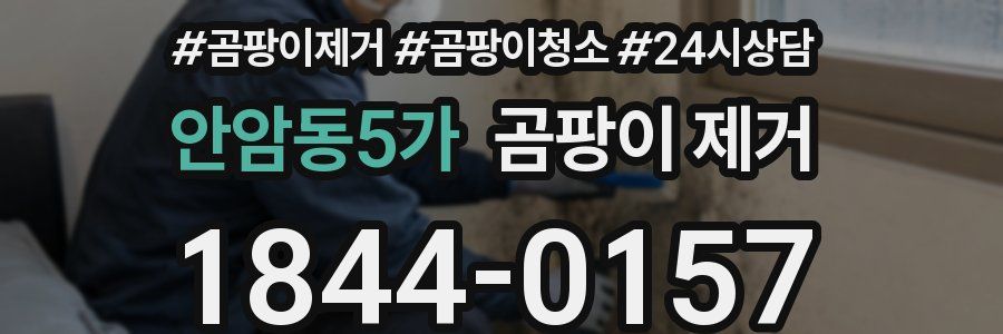 안암동5가 곰팡이 제거
