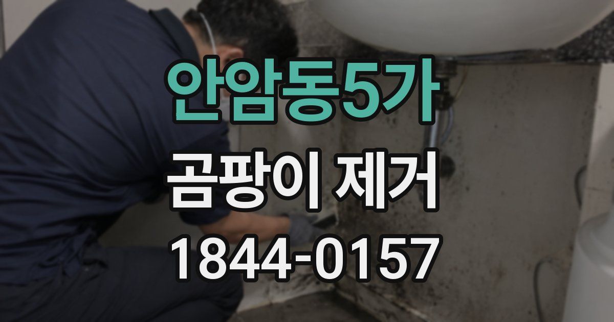 안암동5가 곰팡이 제거