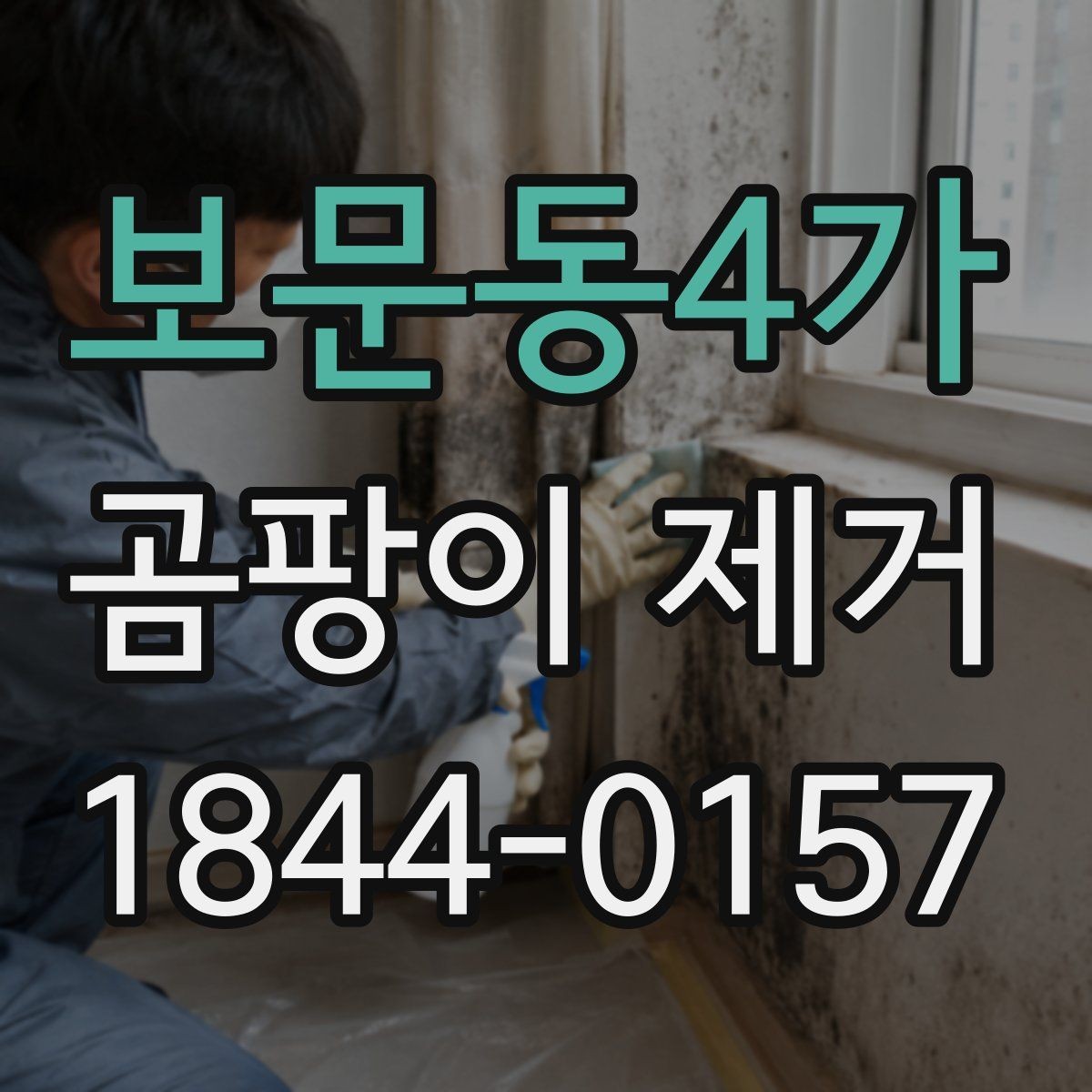 보문동4가 곰팡이 제거 계절 바뀔 때 반복되는 자리들