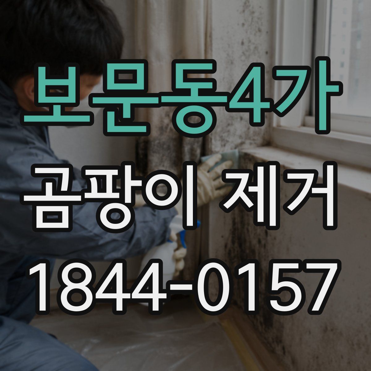 보문동4가 곰팡이 제거