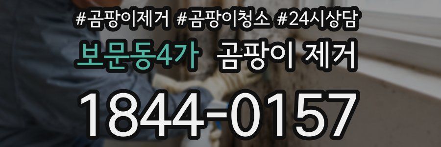 보문동4가 곰팡이 제거