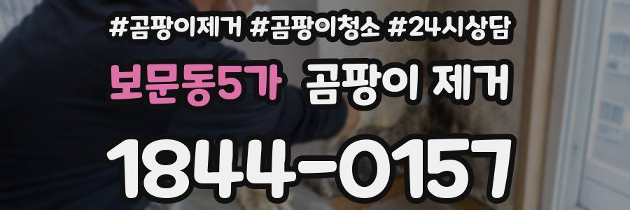 보문동5가 곰팡이 제거