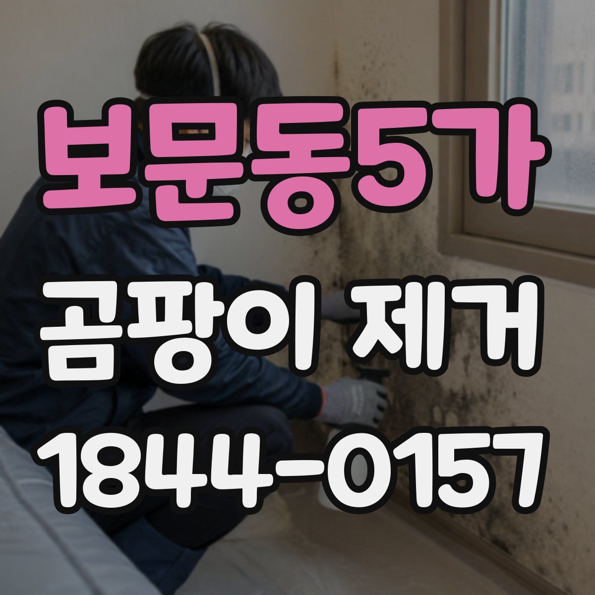 보문동5가 곰팡이 제거