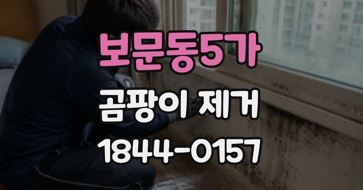 보문동5가 곰팡이 제거