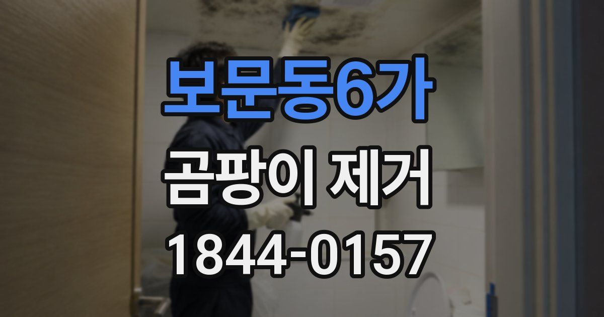 보문동6가 곰팡이 제거