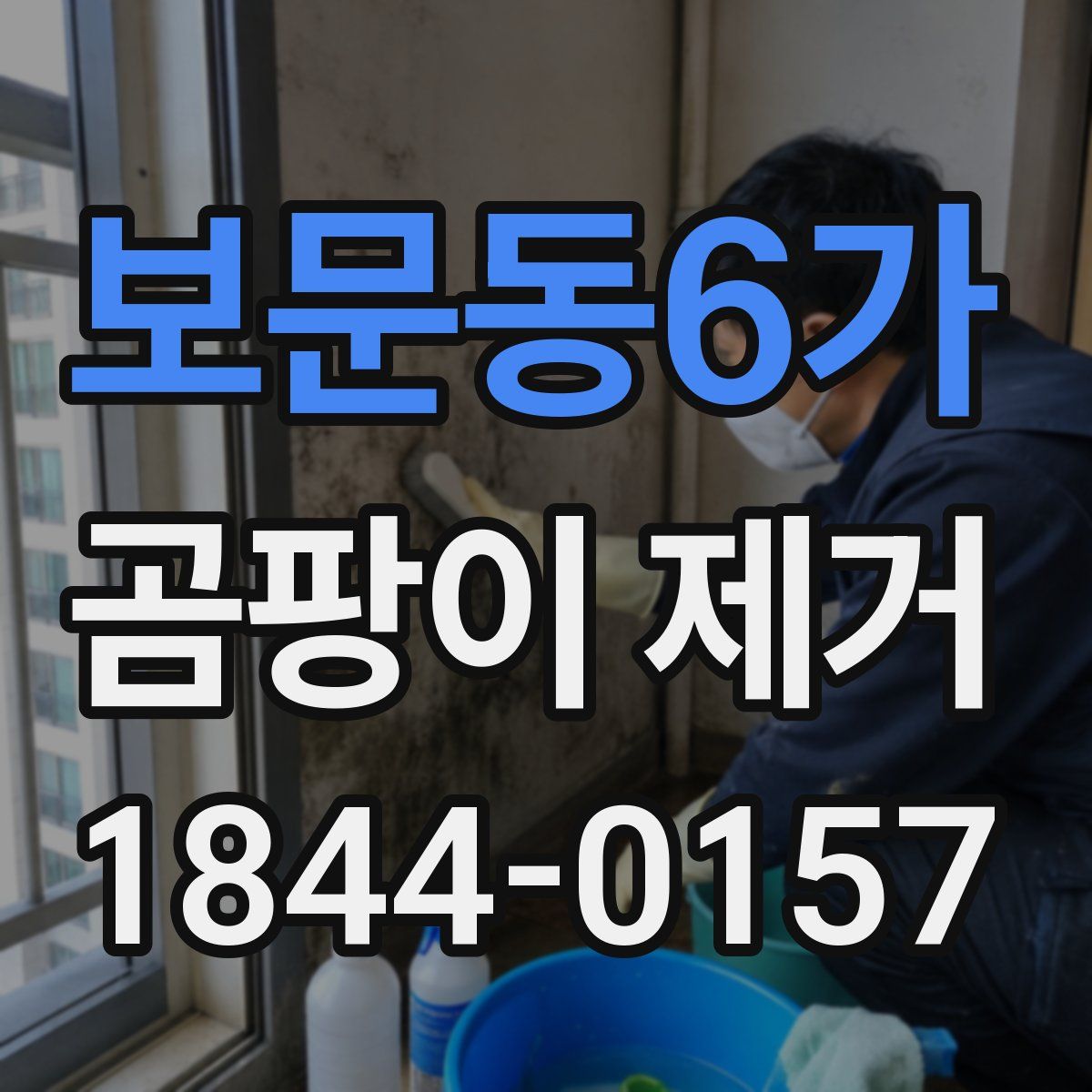 보문동6가 곰팡이 제거