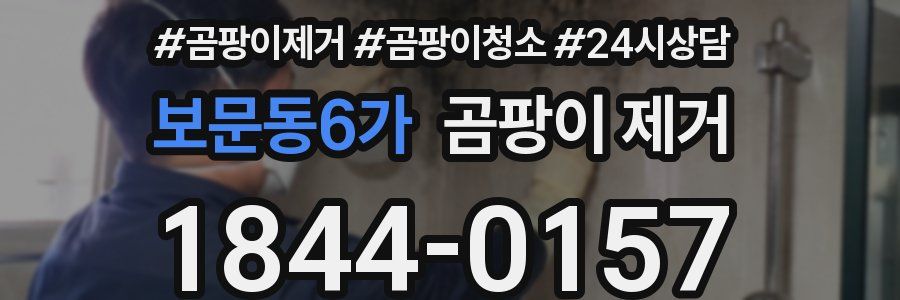 보문동6가 곰팡이 제거
