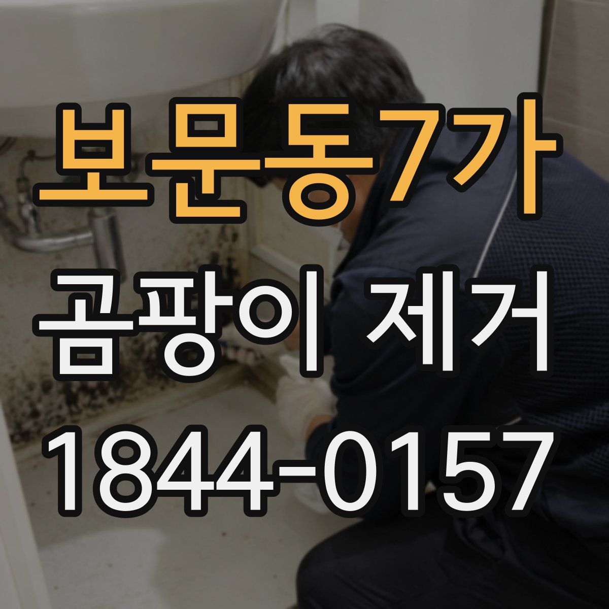 보문동7가 곰팡이 제거