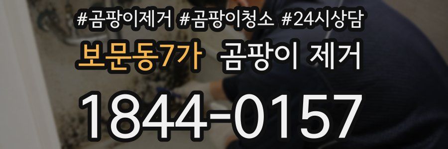 보문동7가 곰팡이 제거