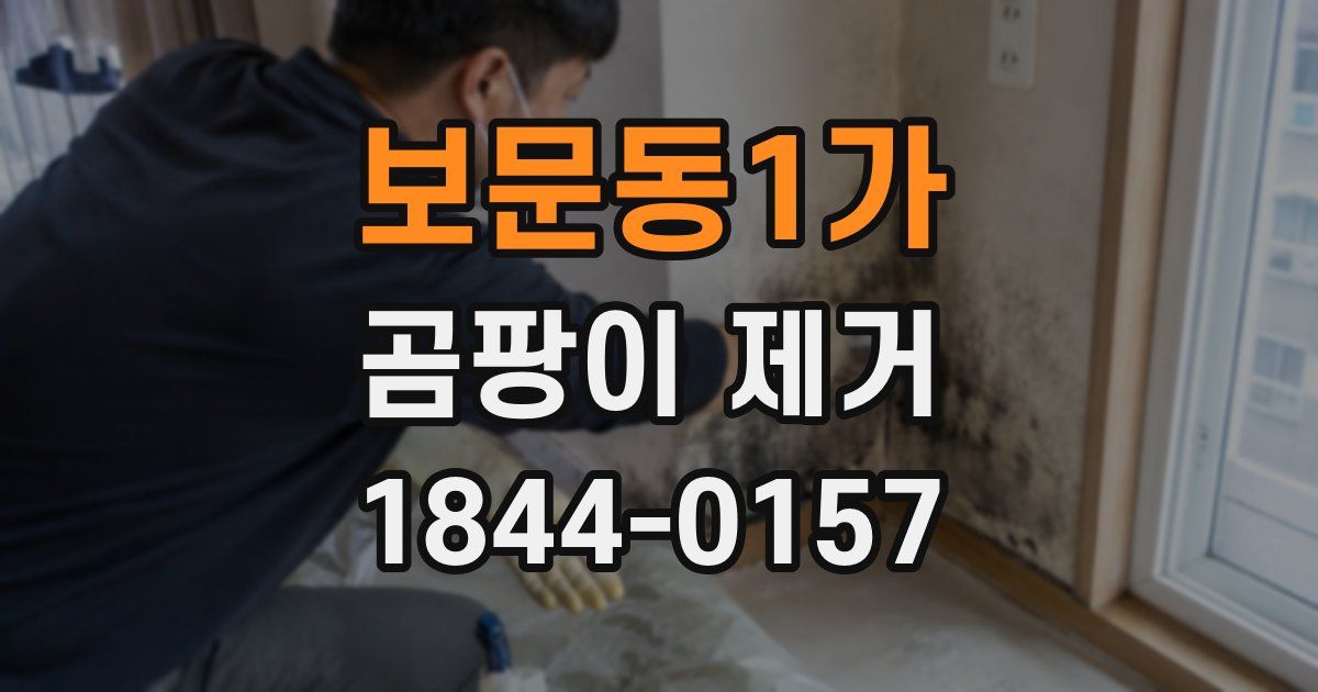 보문동1가 곰팡이 제거