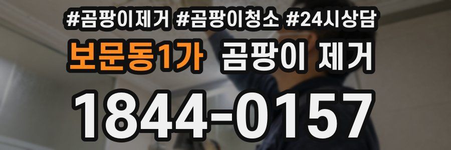 보문동1가 곰팡이 제거