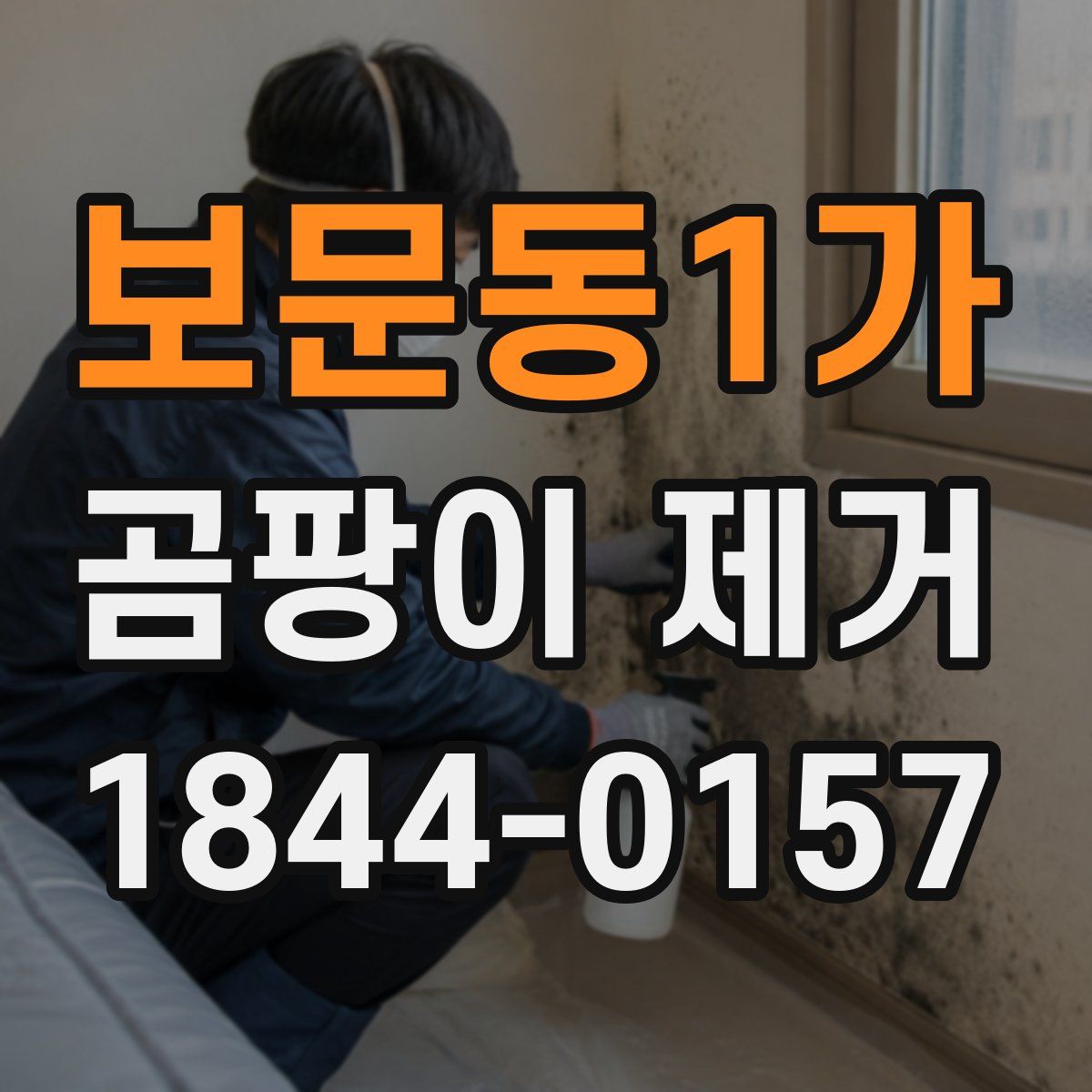 보문동1가 곰팡이 제거