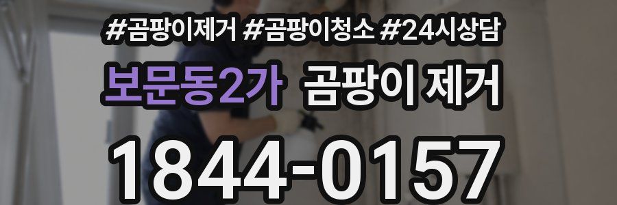 보문동2가 곰팡이 제거