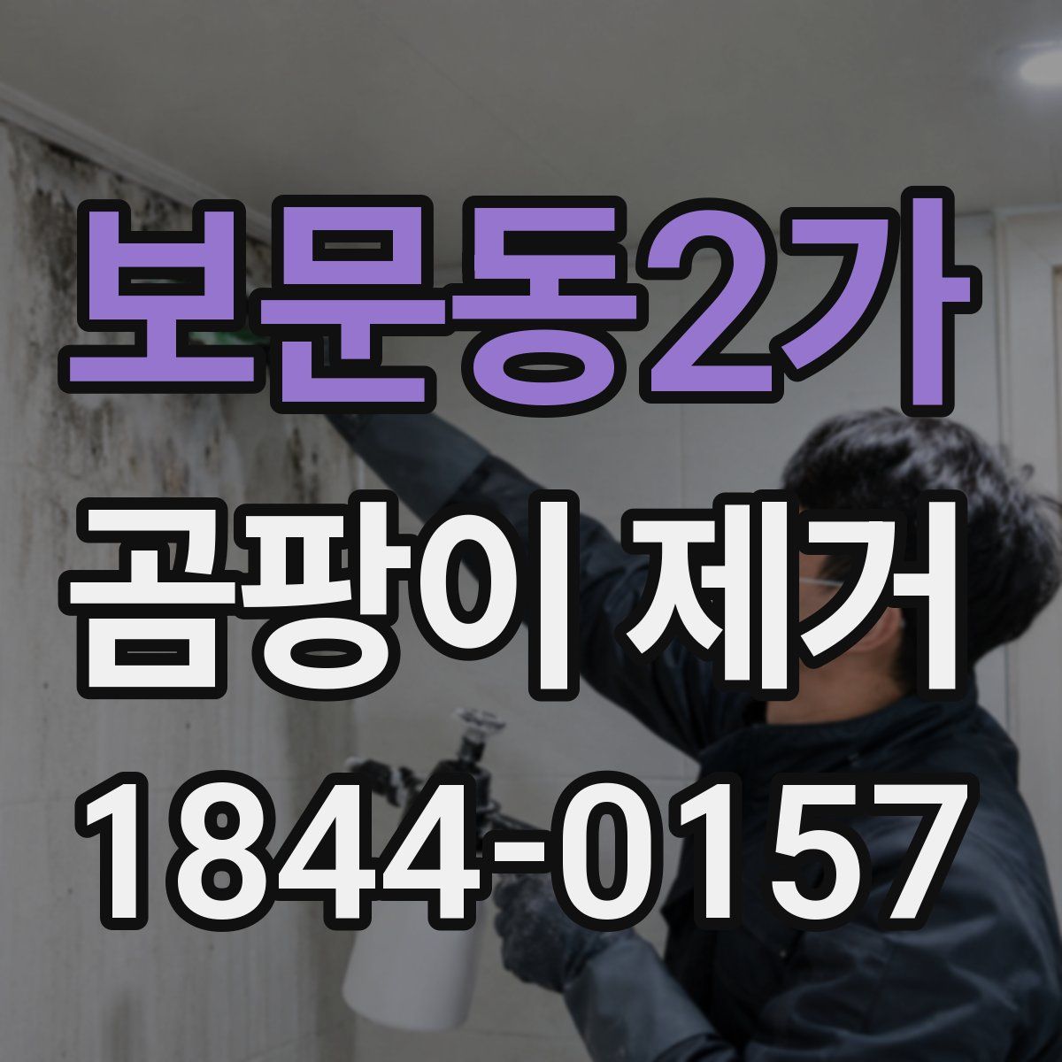 보문동2가 곰팡이 제거