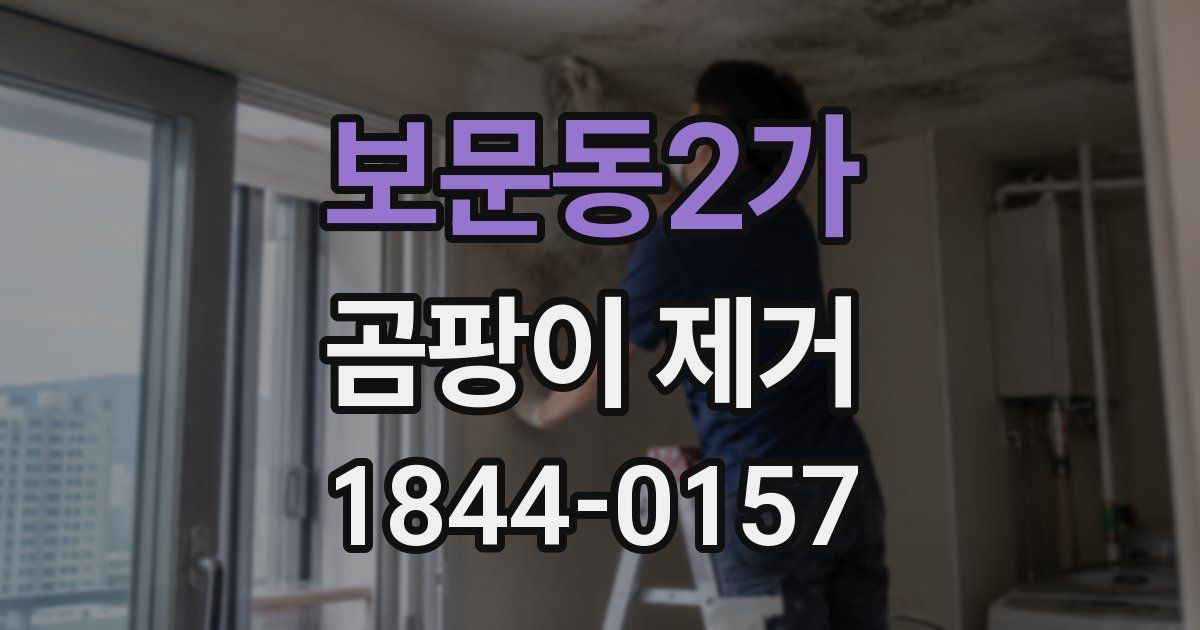 보문동2가 곰팡이 제거