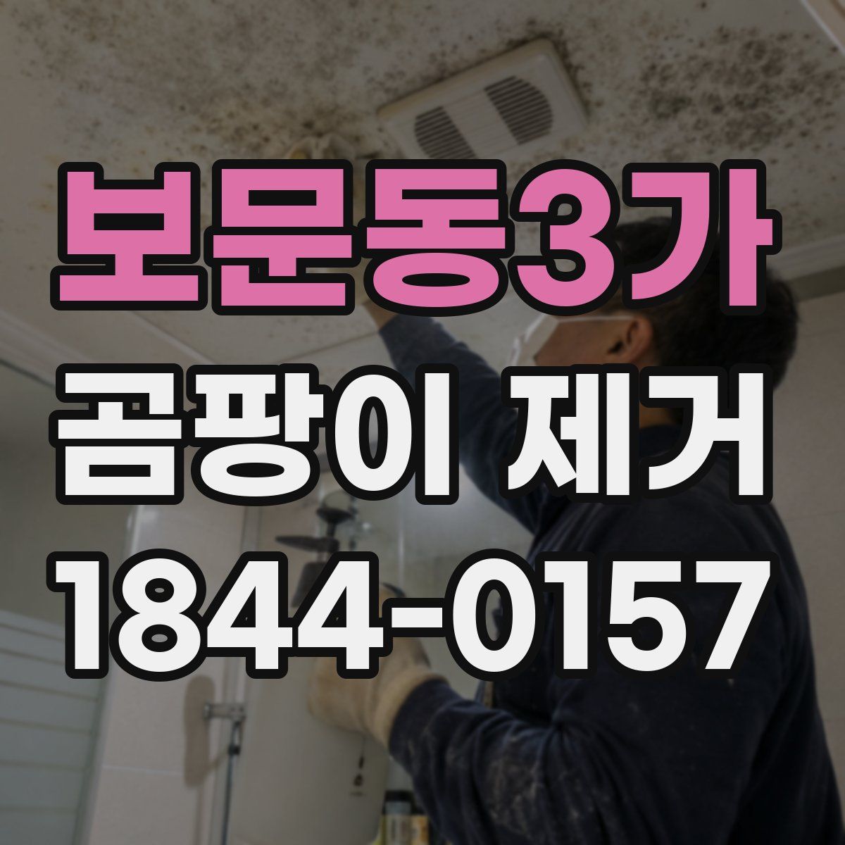 보문동3가 곰팡이 제거
