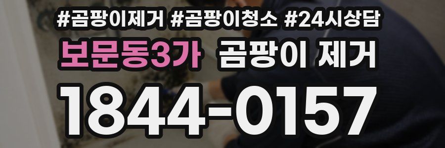 보문동3가 곰팡이 제거
