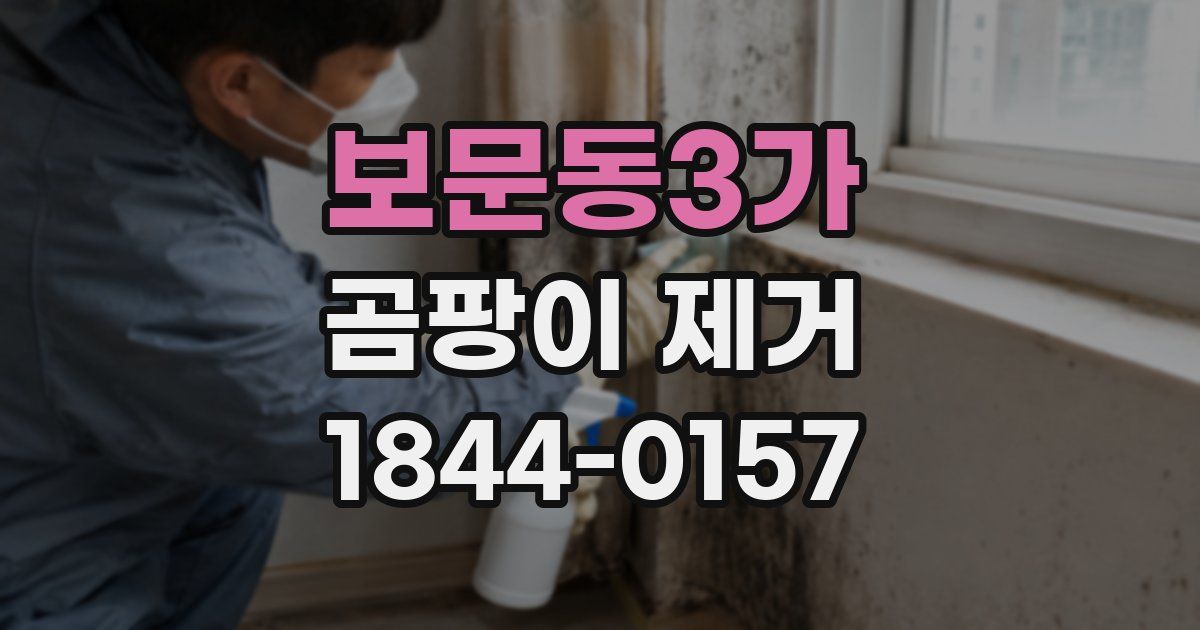 보문동3가 곰팡이 제거
