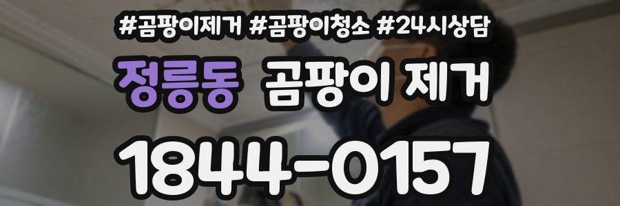정릉동 곰팡이 제거