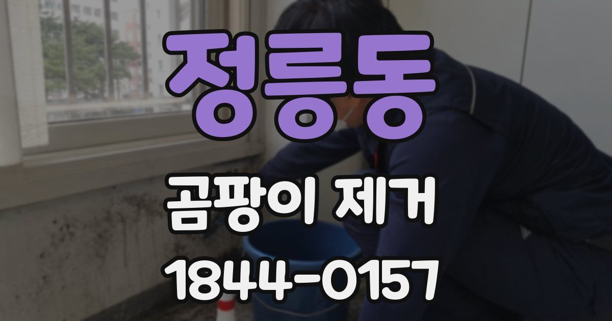 정릉동 곰팡이 제거