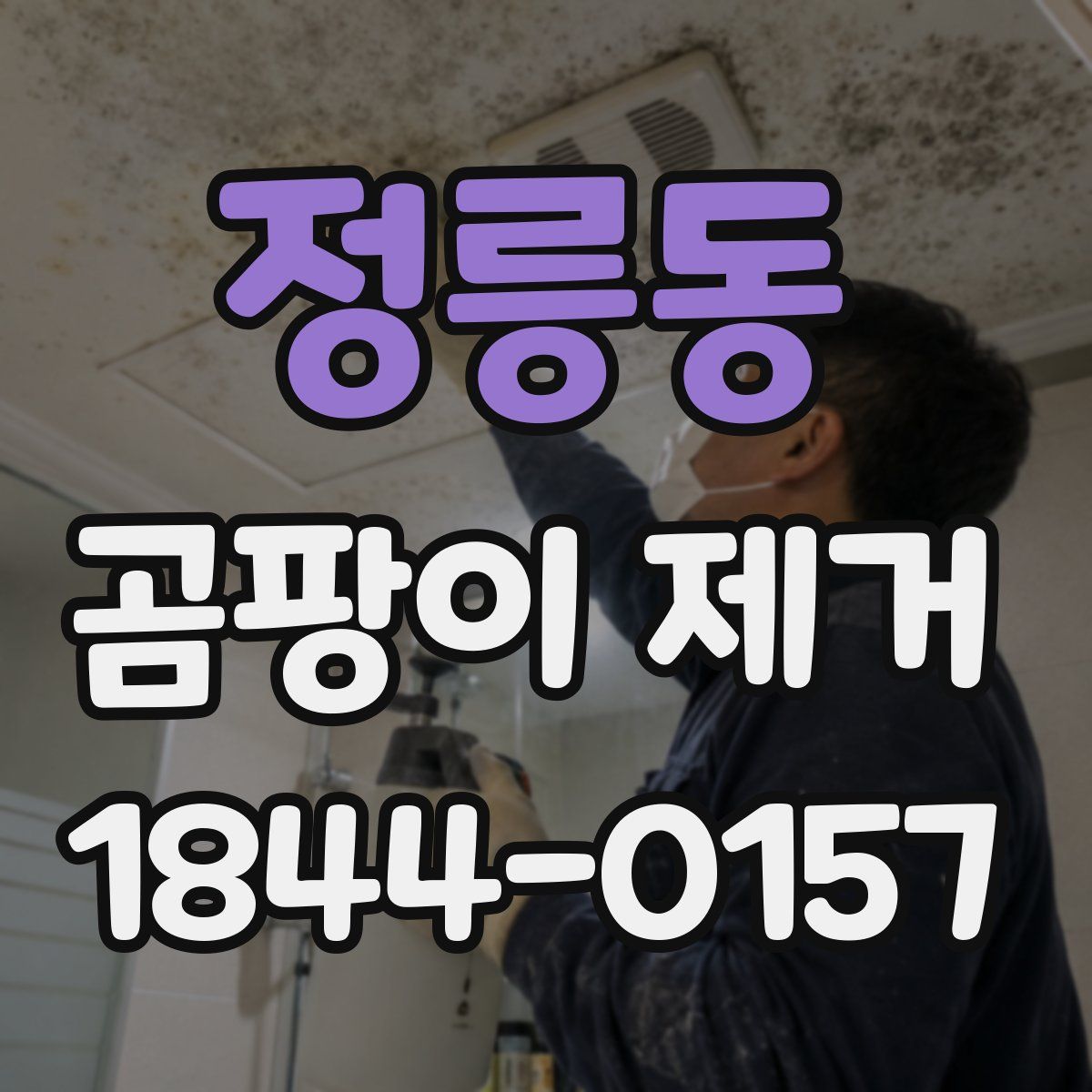 정릉동 곰팡이 제거