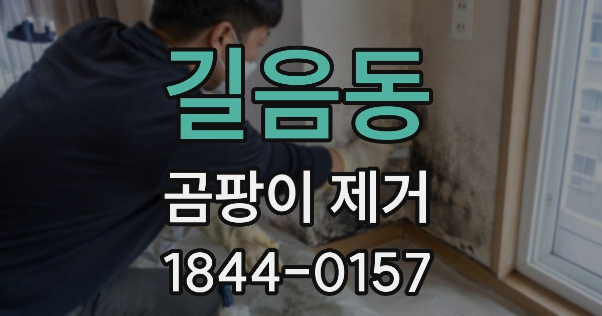 길음동 곰팡이 제거