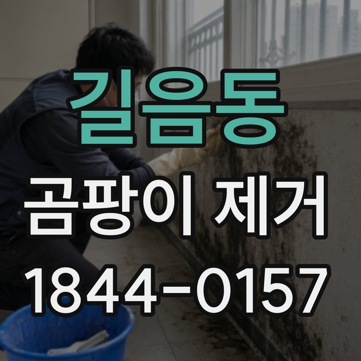 길음동 곰팡이 제거