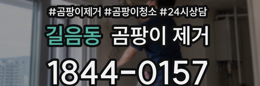 길음동 곰팡이 제거