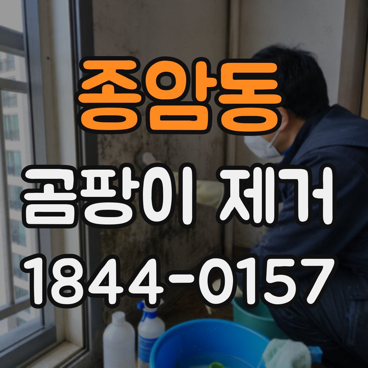 종암동 곰팡이 제거