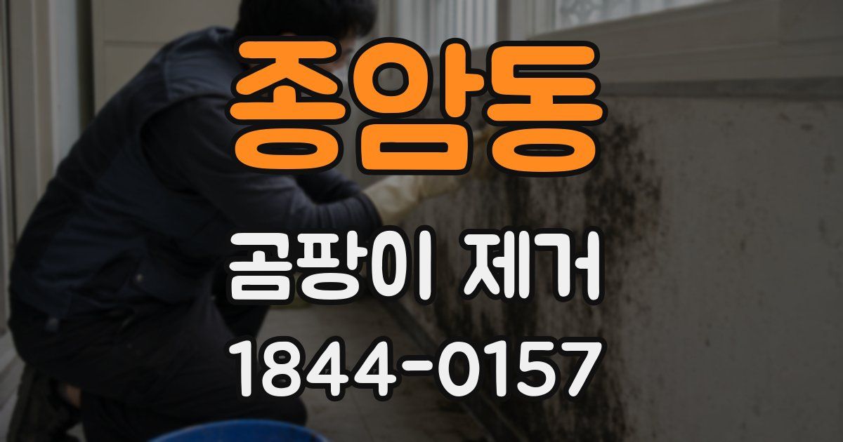 종암동 곰팡이 제거