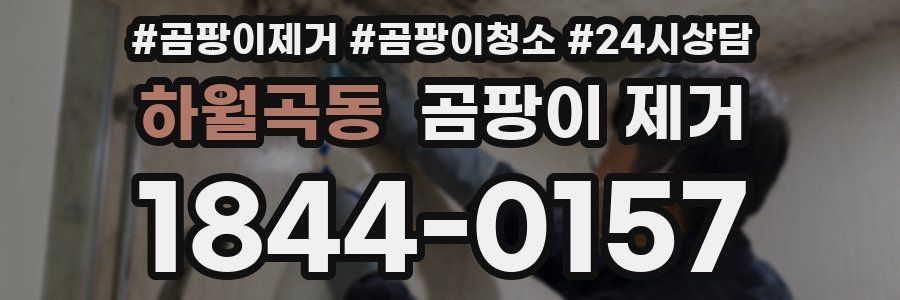 하월곡동 곰팡이 제거